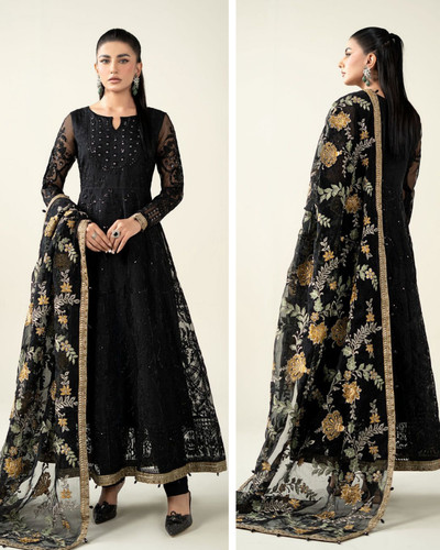 Pakistanischer designer - pakistanischer,