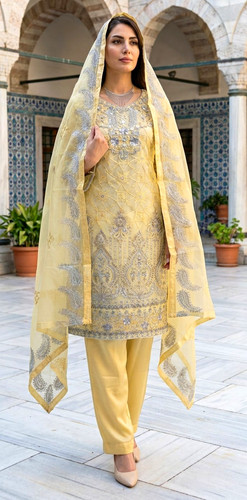 Damen hosenanzug kameez - hosenanzug,