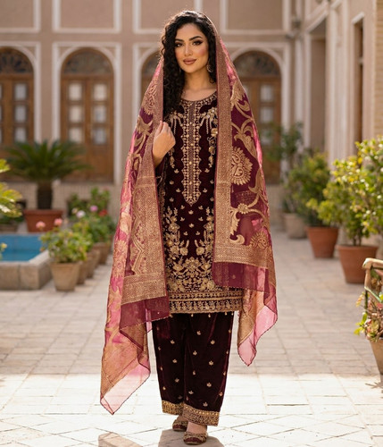 Damen palazzo kameez - palazzo,